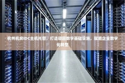 杭州IDC主机托管 构建稳固数字基石，引领企业数字化转型